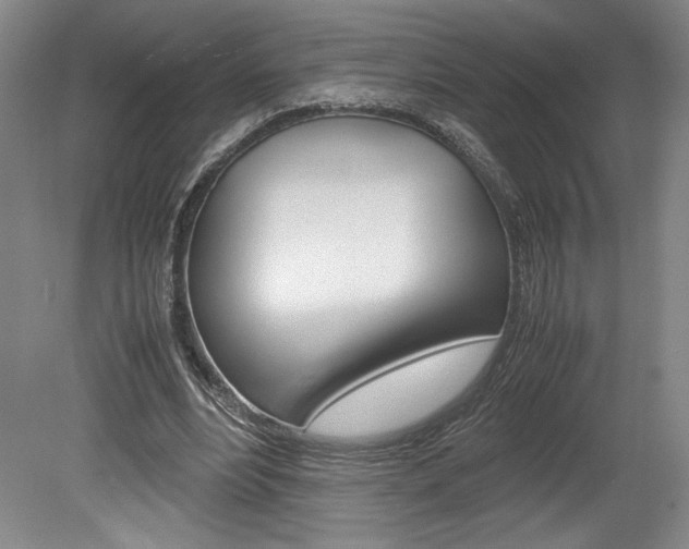 X0000078840488200611131001
