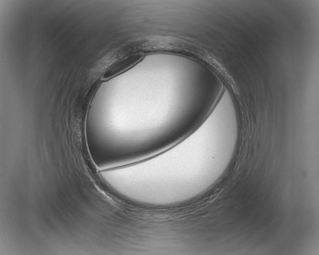 X0000078840489200611131001