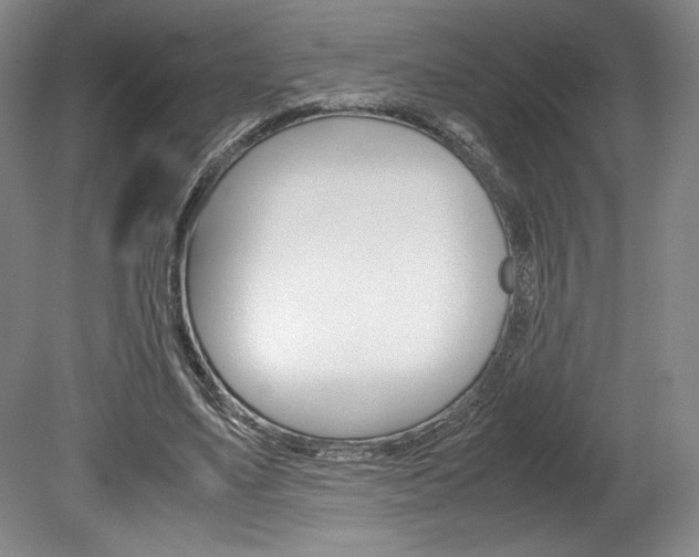 X0000078840491200611131001