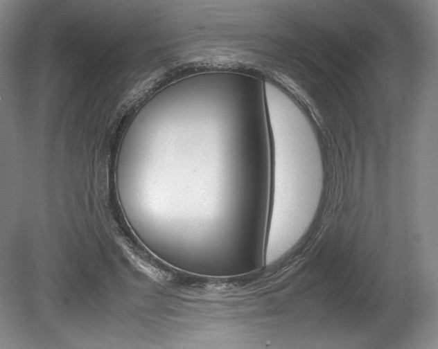 X0000078840493200611131001