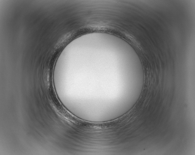 X0000078840494200611131001