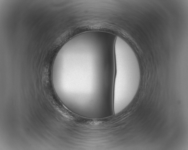 X0000078840497200611131001