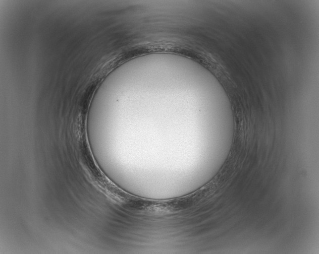 X0000078840498200611131001