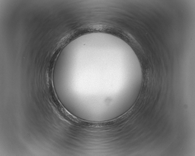 X0000078840500200611131001