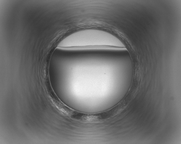 X0000078840501200611131001