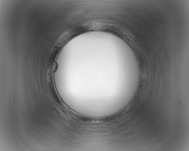 X0000078840503200611131001