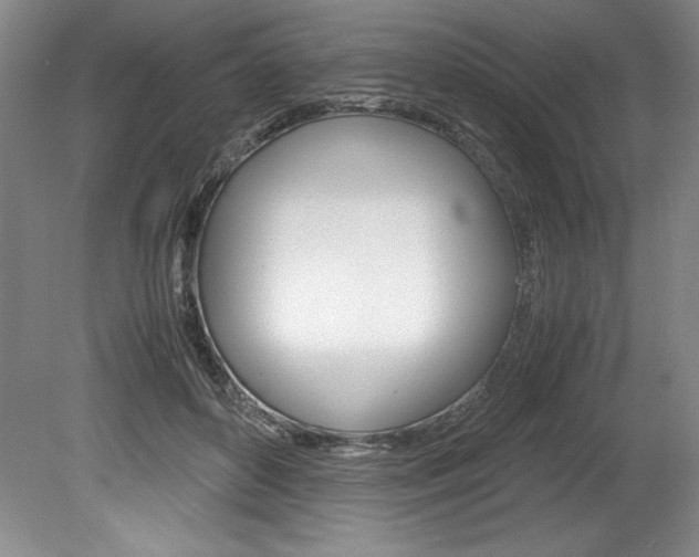 X0000078840504200611131001