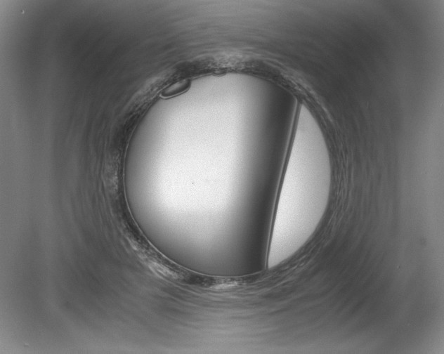 X0000078840505200611131001