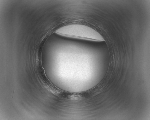 X0000078840508200611131001