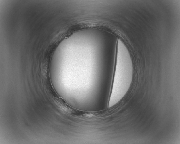 X0000078840509200611131001