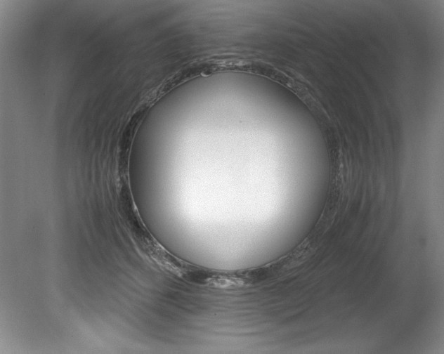 X0000078840512200611131001