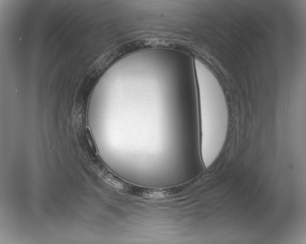 X0000078840513200611131001