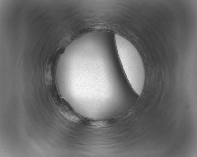 X0000078840516200611131001