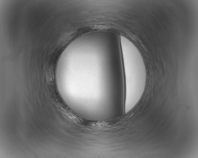 X0000078840517200611131001