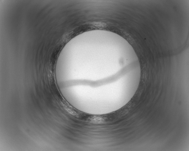 X0000078840518200611131001