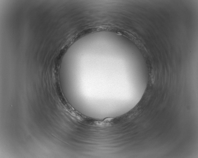 X0000078840520200611131001