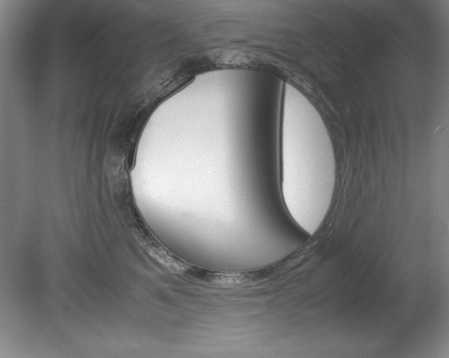 X0000078840521200611131001