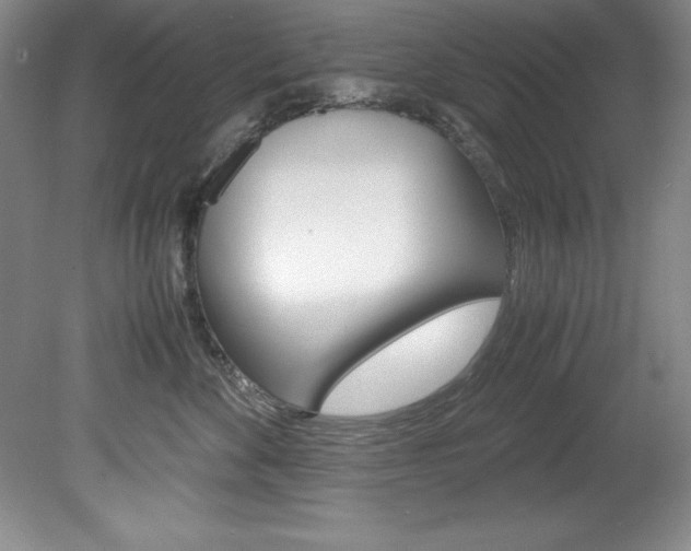 X0000078840524200611131001