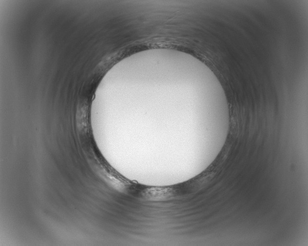 X0000078840526200611131001
