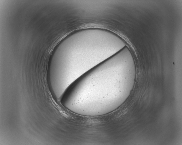 X0000078840529200611131000