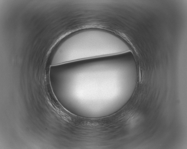 X0000078840531200611131000