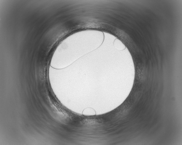 X0000078840534200611131000
