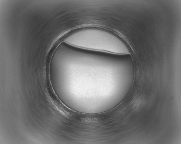 X0000078840535200611131000