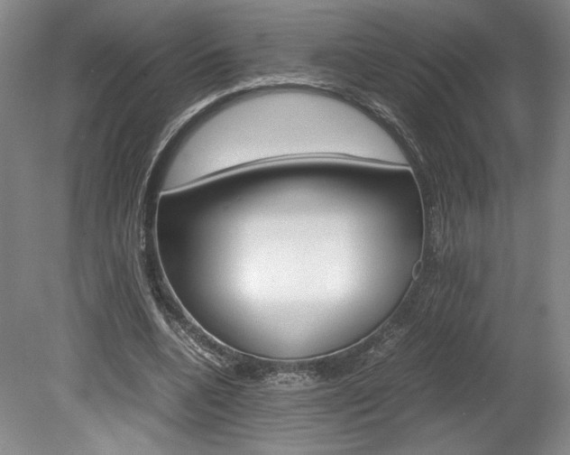 X0000078840536200611131000