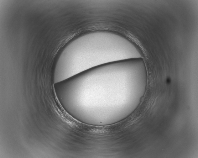 X0000078840537200611131000