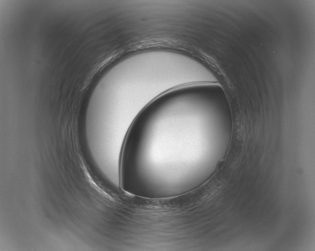 X0000078840538200611131000