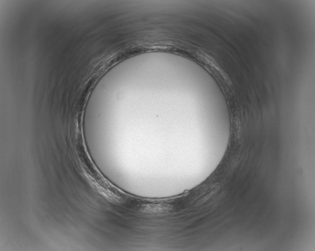 X0000078840541200611131000
