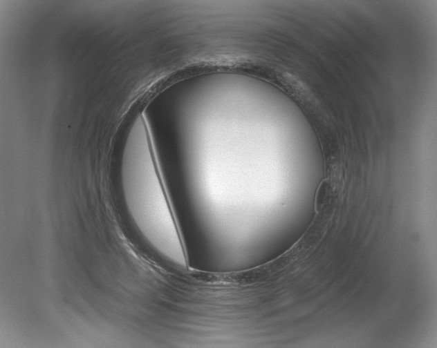 X0000078840544200611131000