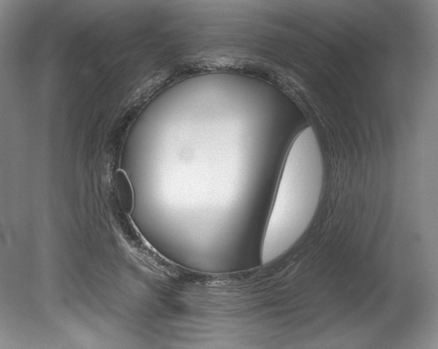 X0000078840546200611131000