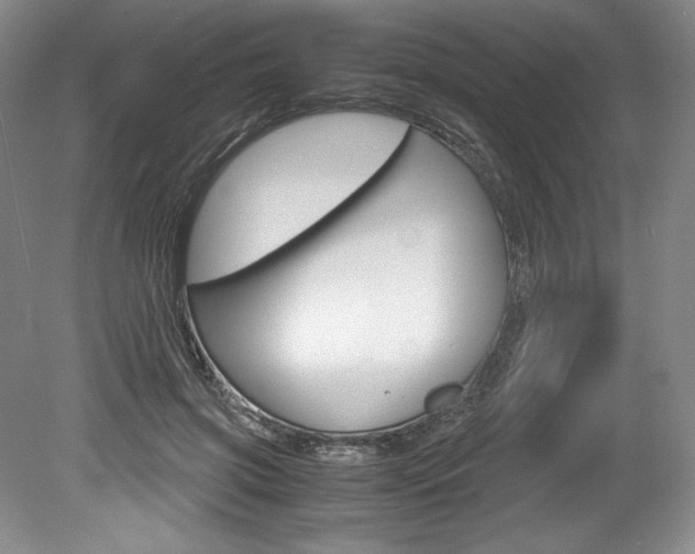 X0000078840549200611131000