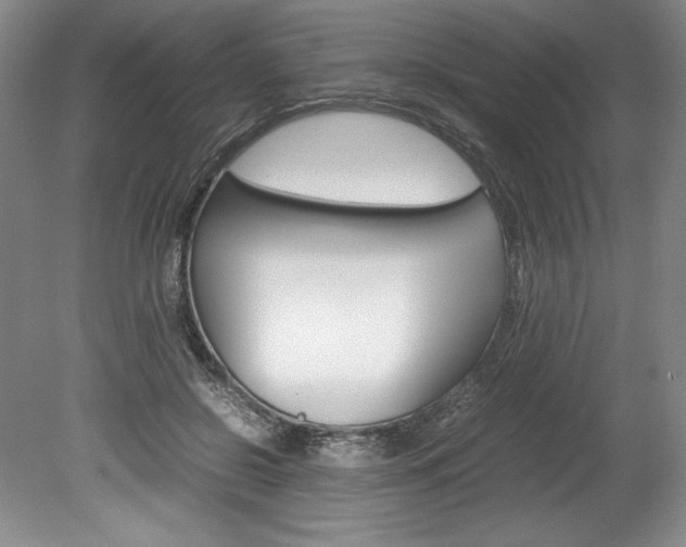 X0000078840550200611131000