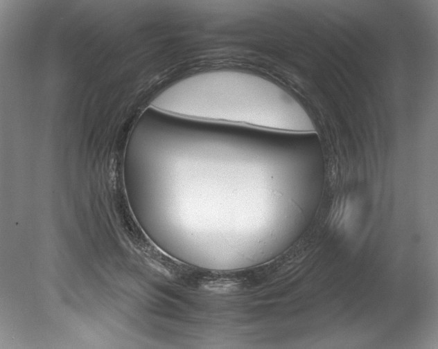X0000078840551200611131000