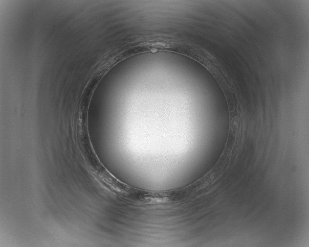 X0000078840552200611131000