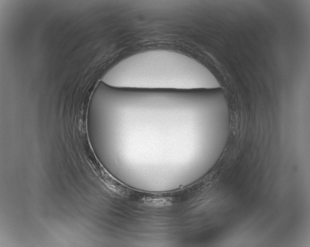 X0000078840553200611131000