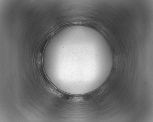 X0000078840554200611131000