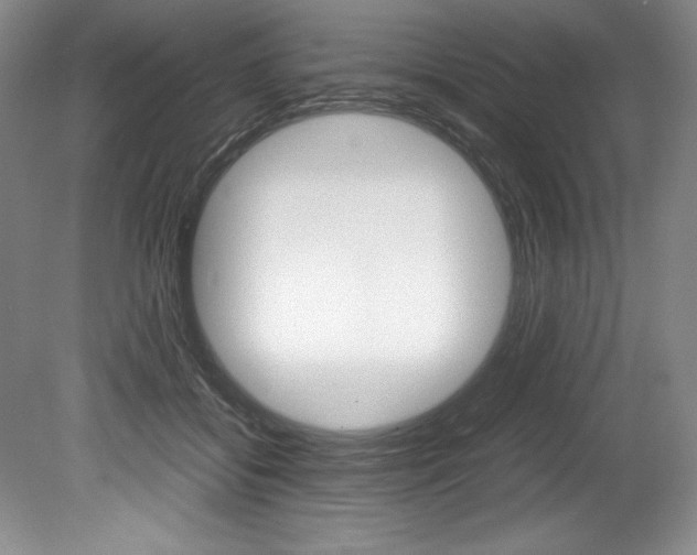 X0000078840556200611131000