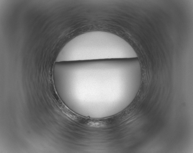 X0000078840557200611131000