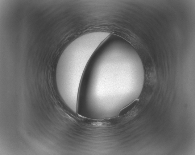 X0000078840558200611131000