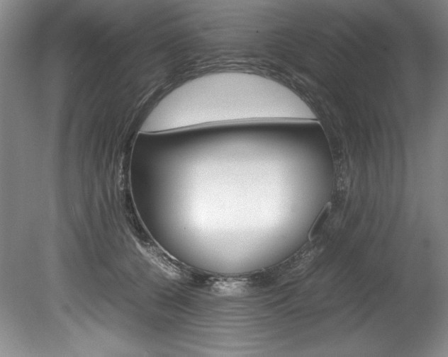X0000078840560200611131000