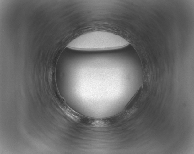 X0000078840562200611131000