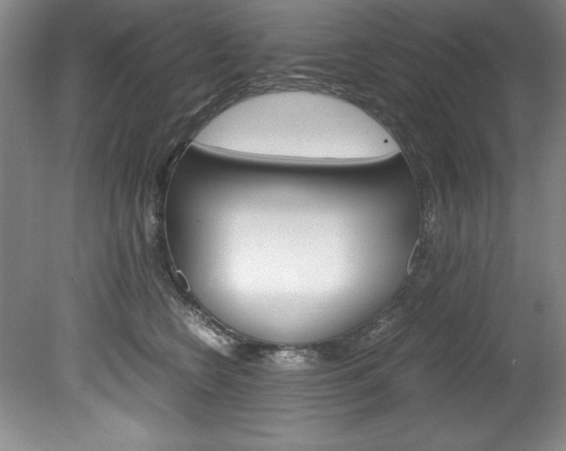 X0000078840566200611131001