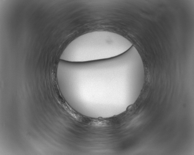 X0000078840569200611131001