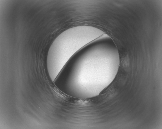 X0000078840570200611131001
