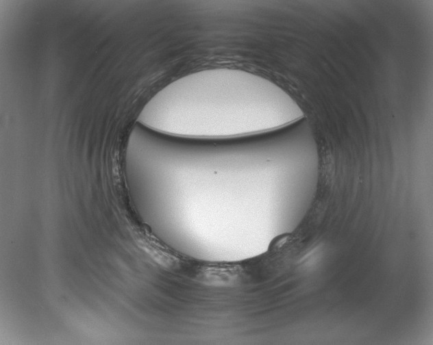 X0000078840571200611131001