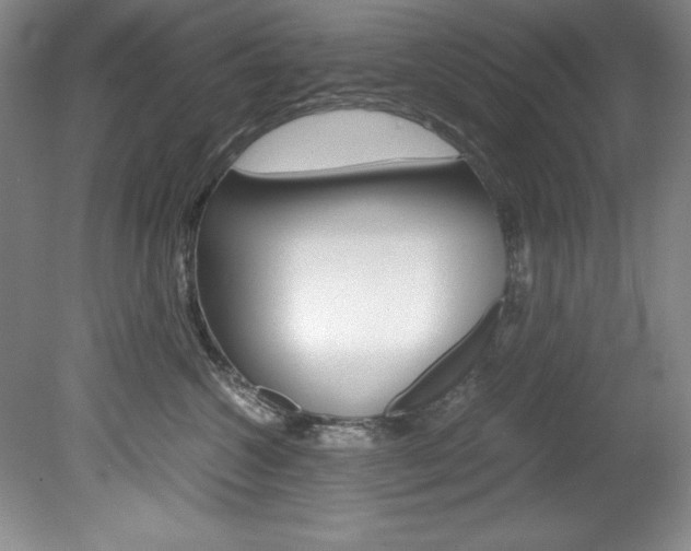 X0000078840572200611131001