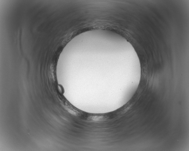 X0000078840575200611131001